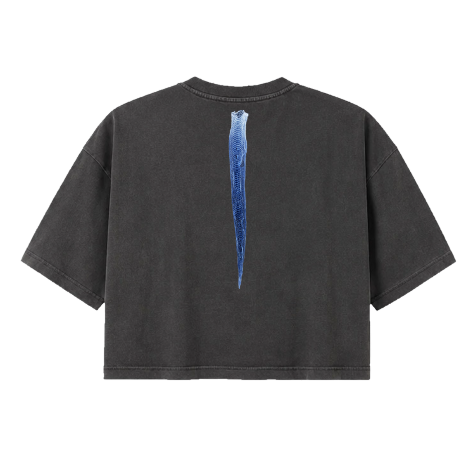 Starting Over Again Crop Tee