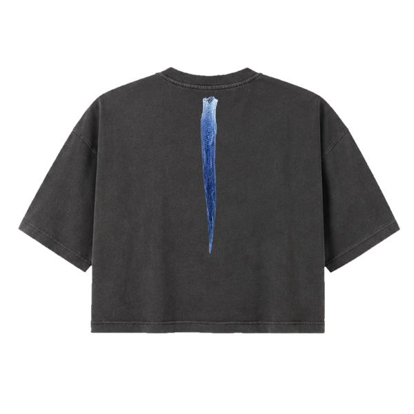 Starting Over Again Crop Tee